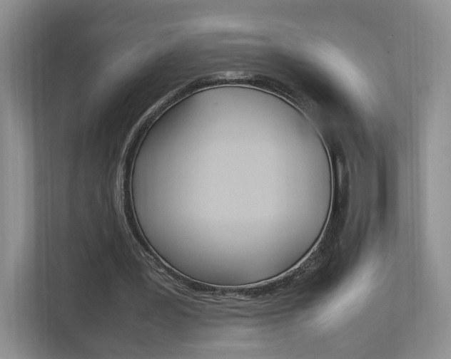 X0000111950387200907271039