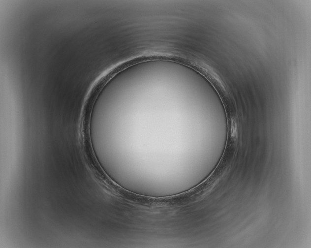X0000111950388200907271039