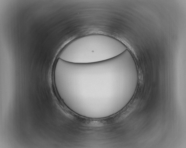 X0000111950390200907271039