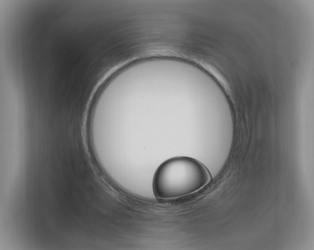 X0000111950391200907271039