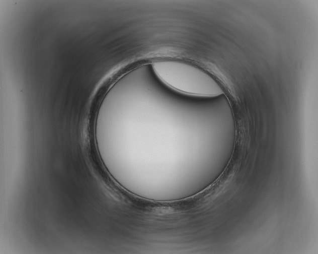 X0000111950392200907271039
