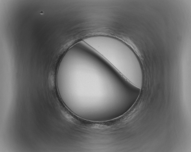 X0000111950393200907271039