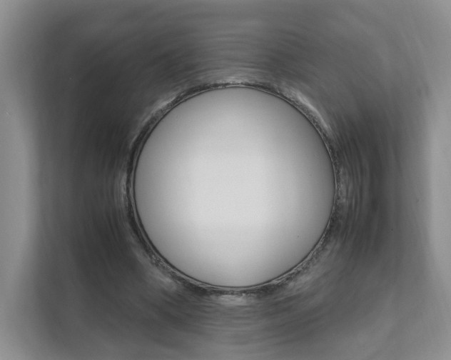 X0000111950394200907271039