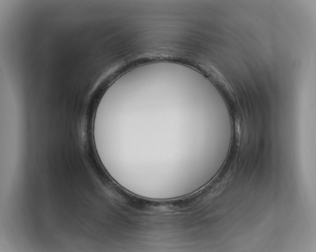 X0000111950396200907271039