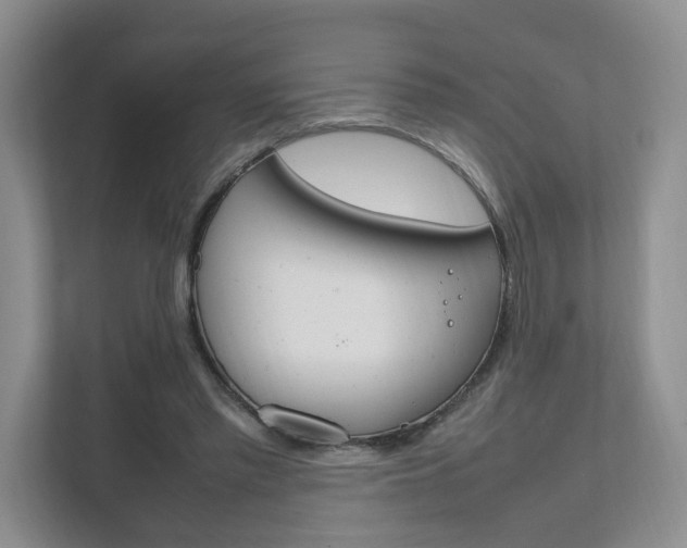 X0000111950397200907271039