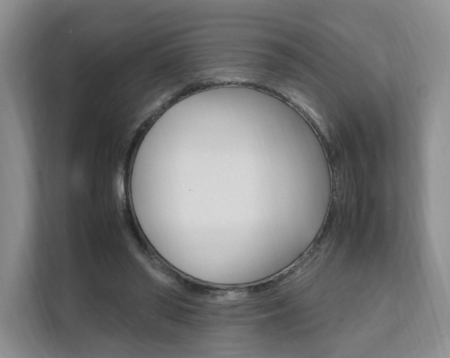 X0000111950398200907271039