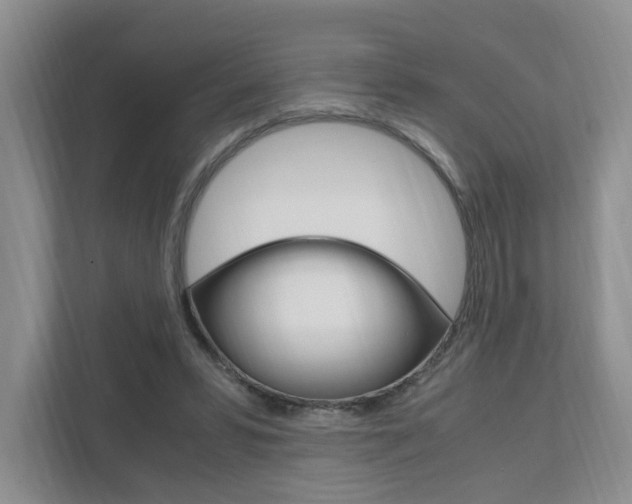 X0000111950399200907271039