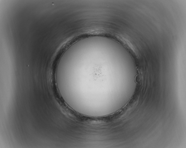 X0000111950400200907271039