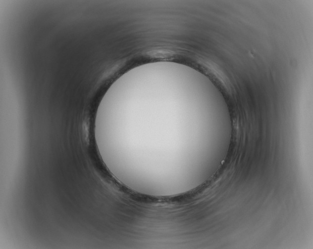 X0000111950404200907271039