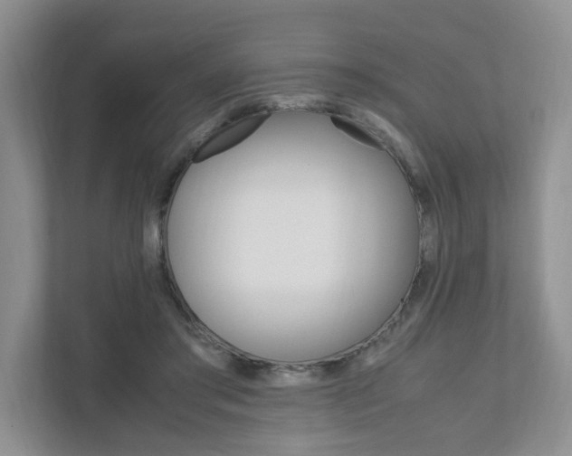 X0000111950405200907271039
