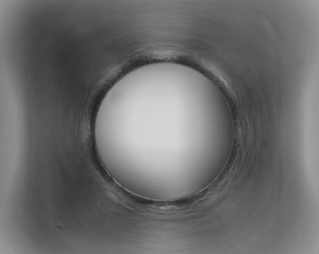 X0000111950407200907271039