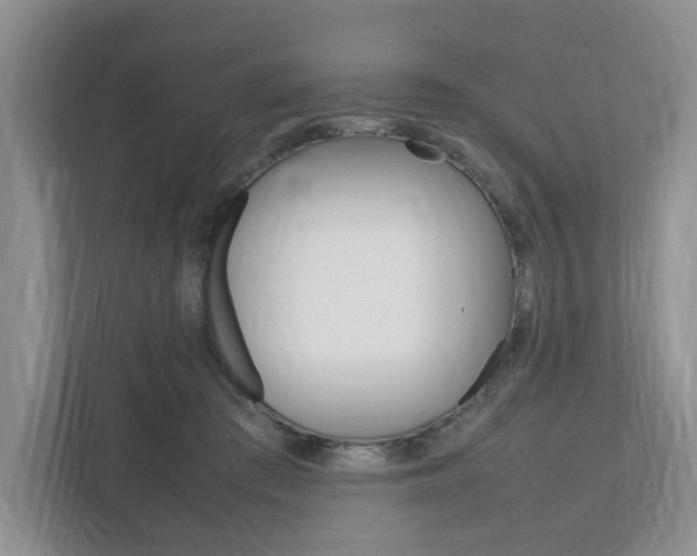 X0000111950409200907271039