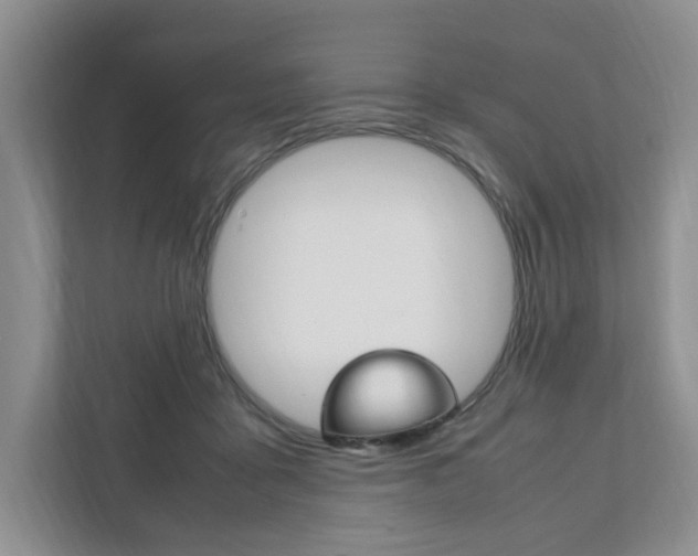X0000111950411200907271039