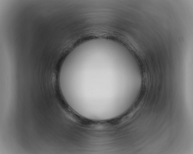 X0000111950412200907271039