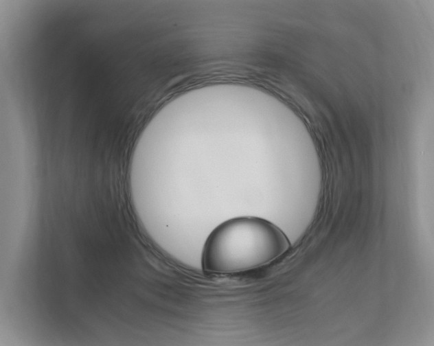 X0000111950413200907271039