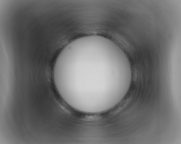 X0000111950414200907271039