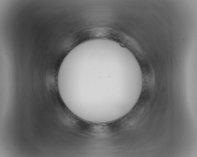 X0000111950415200907271039
