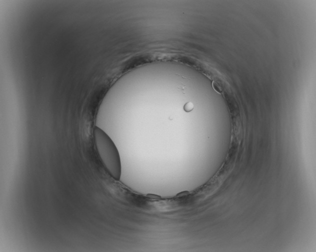 X0000111950417200907271039