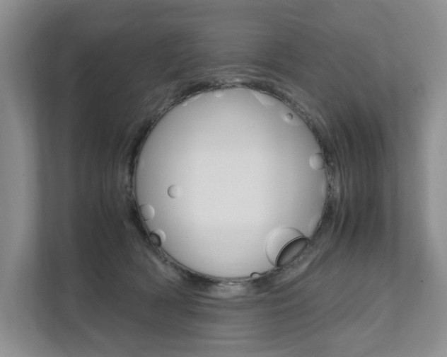 X0000111950418200907271039