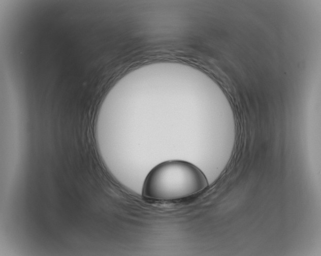 X0000111950419200907271039