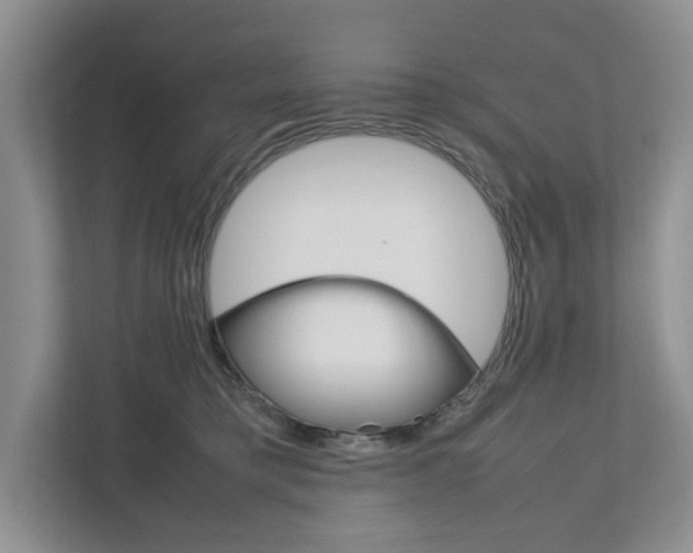 X0000111950421200907271039