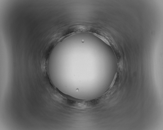 X0000111950423200907271039