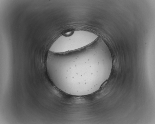 X0000111950424200907271039