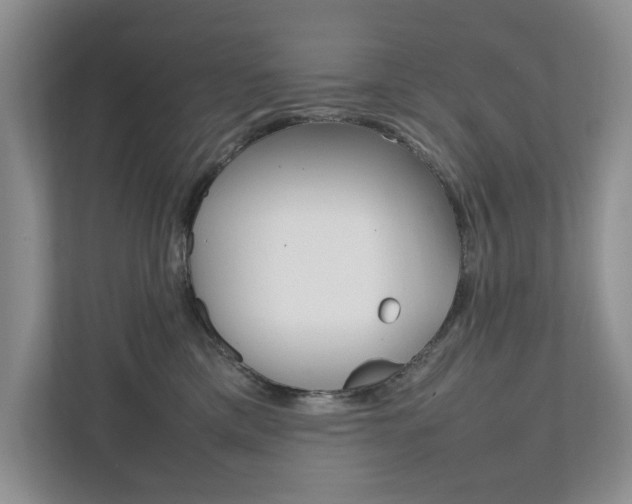X0000111950425200907271039