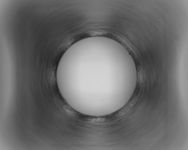 X0000111950426200907271038
