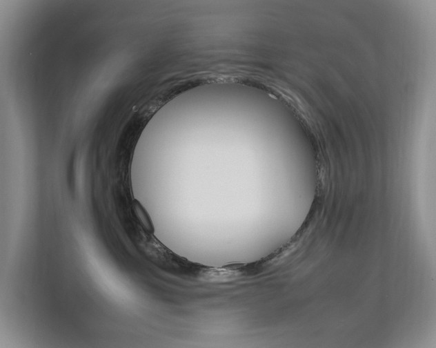 X0000111950429200907271038