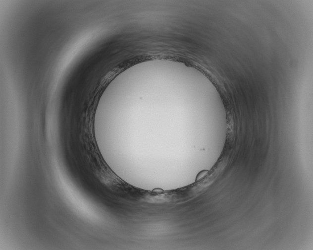 X0000111950430200907271038