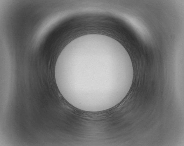 X0000111950431200907271038