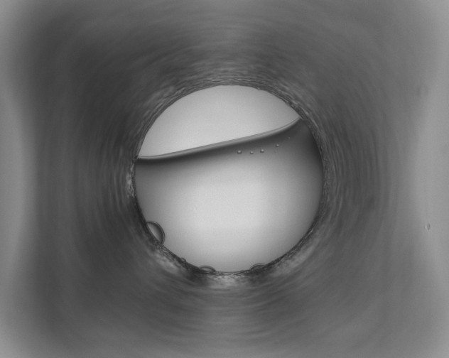X0000111950432200907271038
