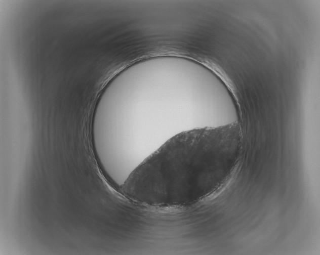 X0000111950433200907271038