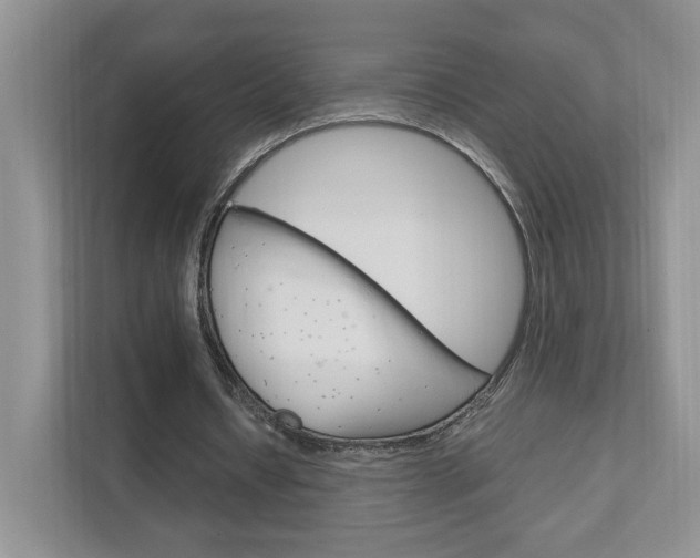 X0000111950434200907271038