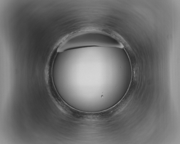 X0000111950436200907271038