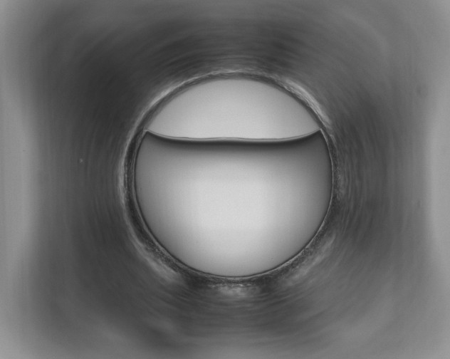 X0000111950439200907271038
