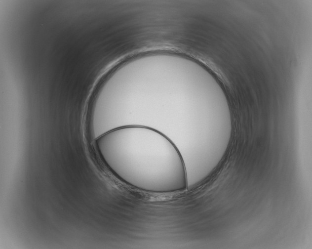 X0000111950440200907271038