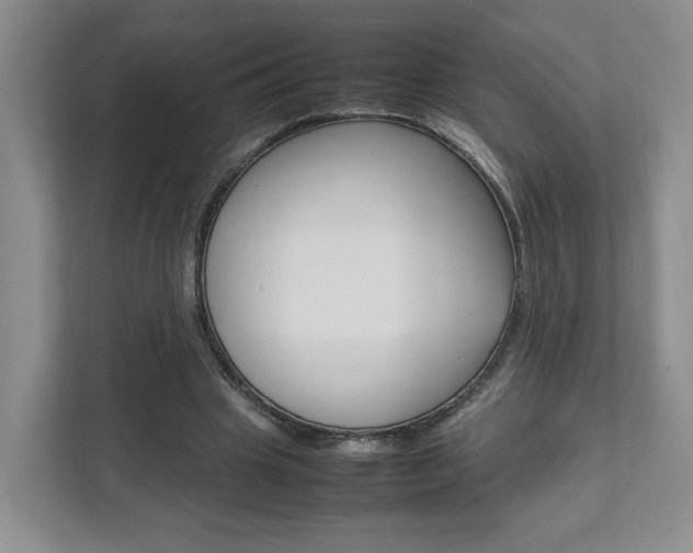 X0000111950441200907271038