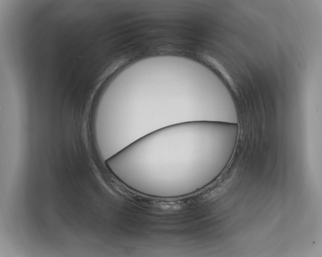 X0000111950443200907271038