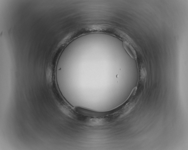 X0000111950444200907271038