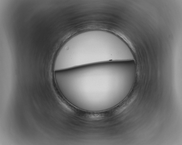 X0000111950445200907271038