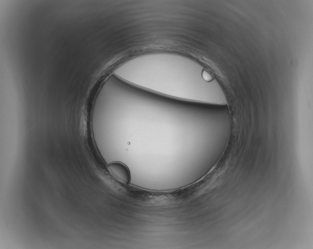 X0000111950446200907271038