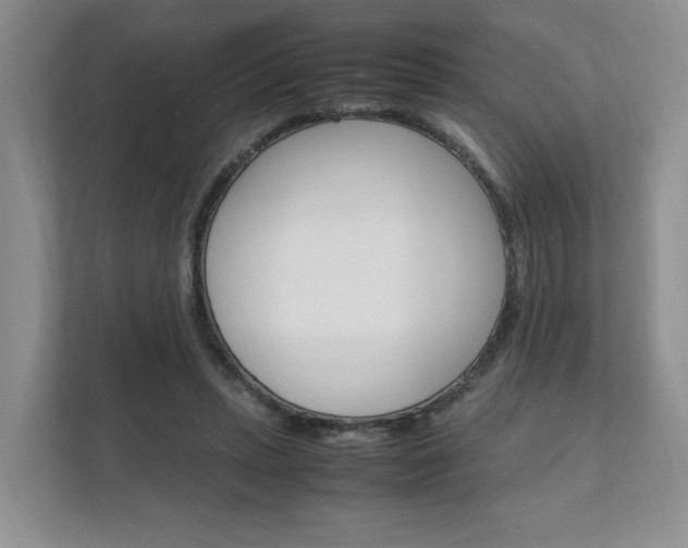 X0000111950447200907271038