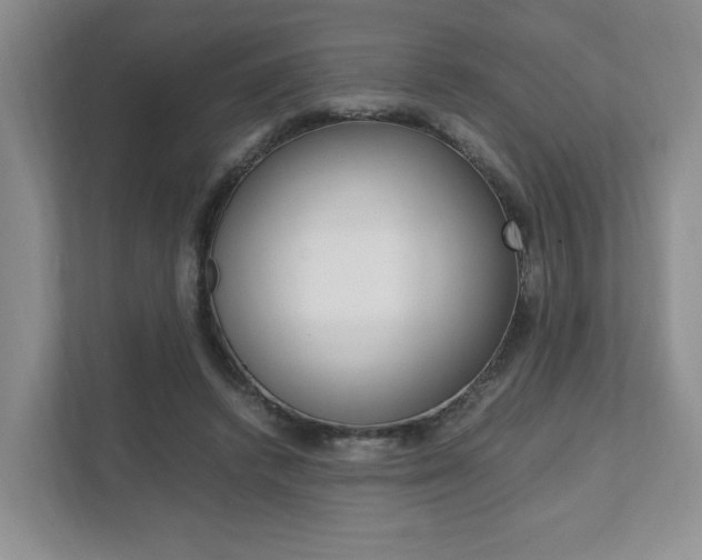 X0000111950448200907271038