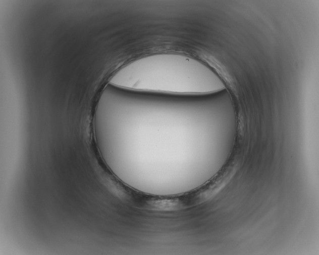 X0000111950449200907271038