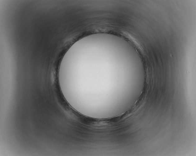 X0000111950451200907271038