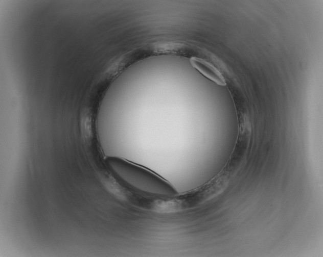 X0000111950452200907271038