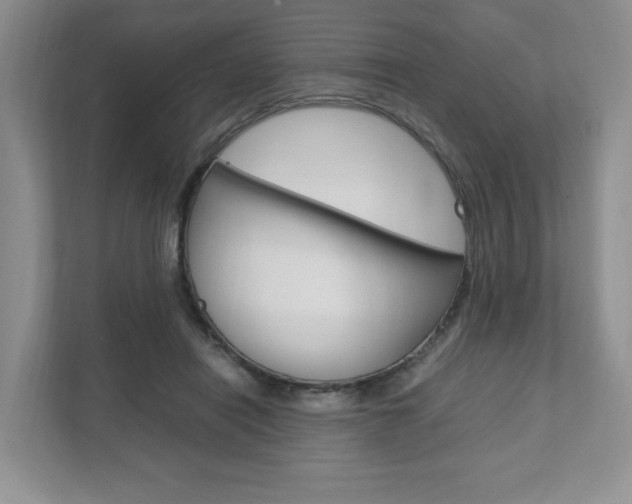 X0000111950454200907271038