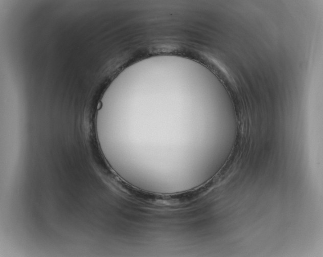 X0000111950455200907271038